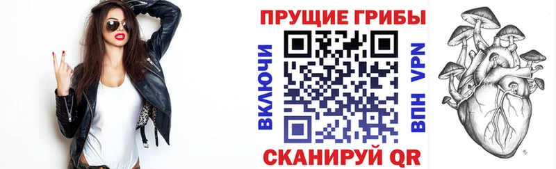 Галлюциногенные грибы Psilocybine cubensis Белёв